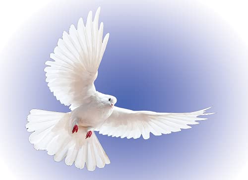 Dove (holy Spirit) Blue Radiant Background - Printed Habotai Silk Flag