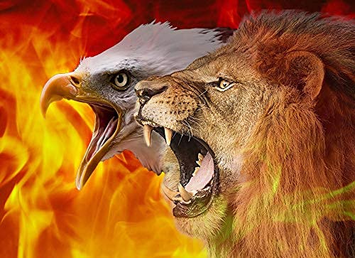 Stand & Roar - Lion-aigle - Ii - Drapeau de soie Harbotai imprimé