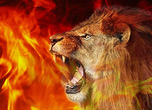Stand & Roar - Fiery Lion - Bandera de seda Harbotai impresa