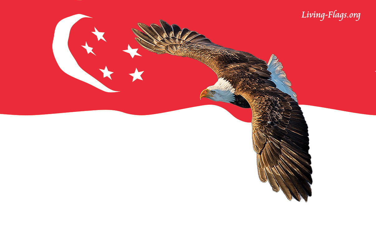 买 1 - 送 - 1 送 - 崛起！  新加坡丝绸印花礼拜旗帜
