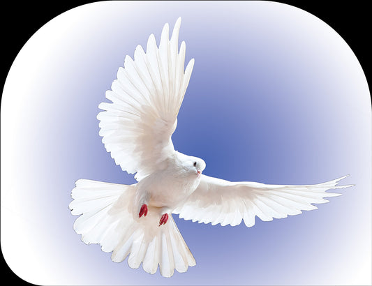 Taube (Heiliger Geist) Blauer strahlender Hintergrund - Gedruckte Habotai-Seidenfeder Flügelflaggen Wxl-Feder