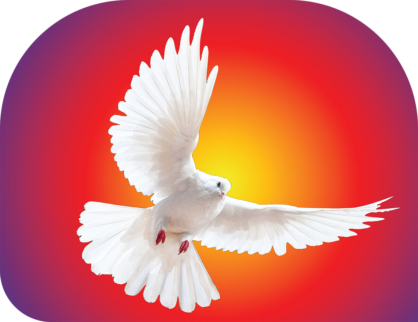 Dove (holy Spirit) Yellow-red-purple Radiant Background - Printed Habotai Silk Quill Wing Flags Wxl-quill