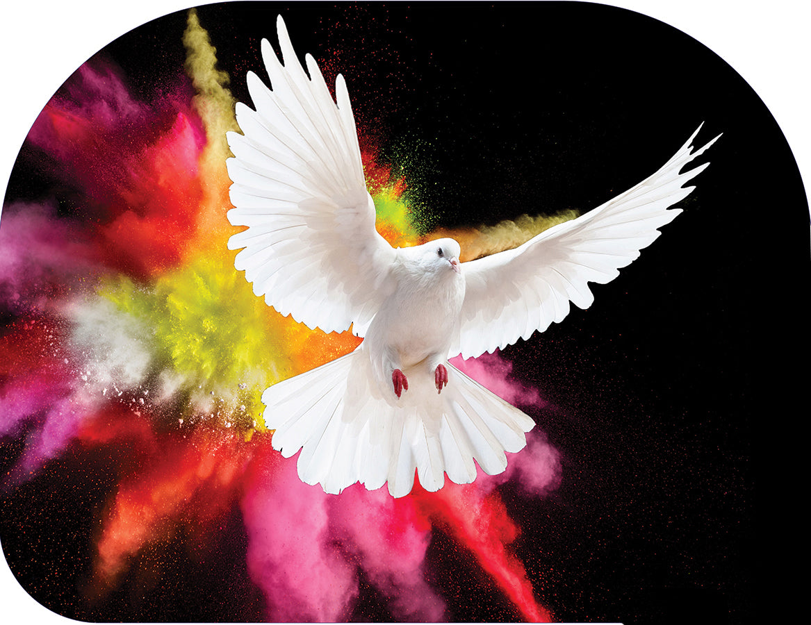 Milagro, señales y maravilla – Explosión Angelic Wing Worship Flags – Wxlq-quill - Varilla flexible de 40"