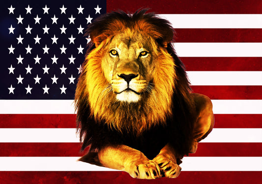 Raja amerika-sutera dicetak bendera sutera- (PRE-RELEASE)