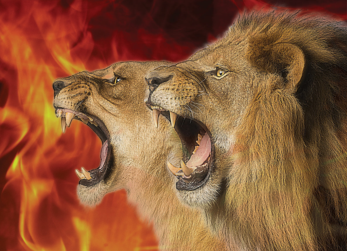 Stand & Roar - Lion-lioness - Printed Harbotai Silk Flag