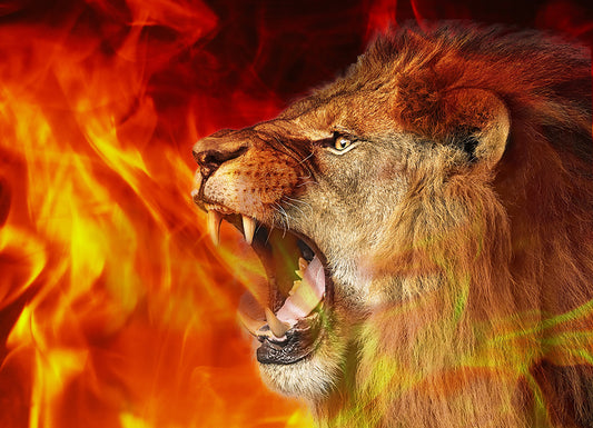 Stand & Roar - Lion ardent - Drapeau en soie Harbotai imprimé