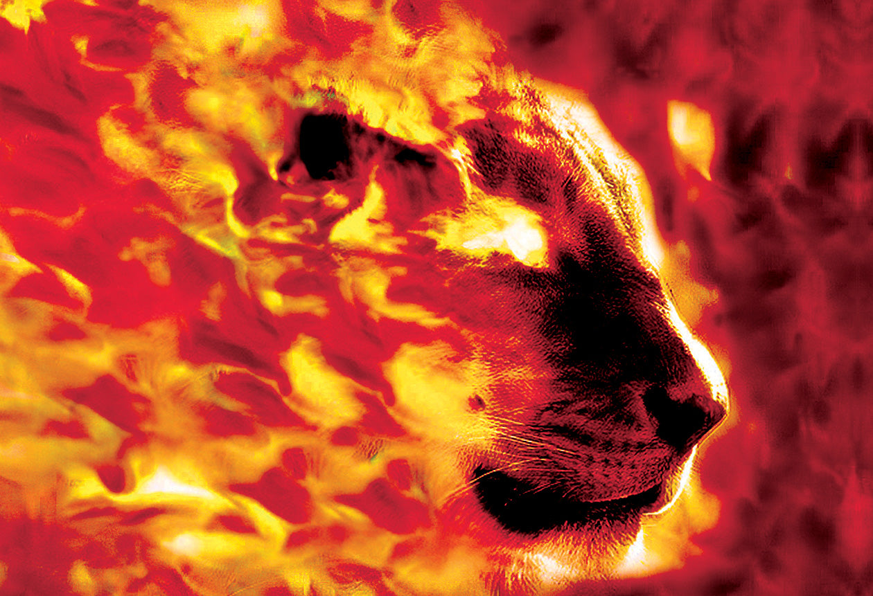 Flaming Passion - Drapeau de soie Harbotai imprimé