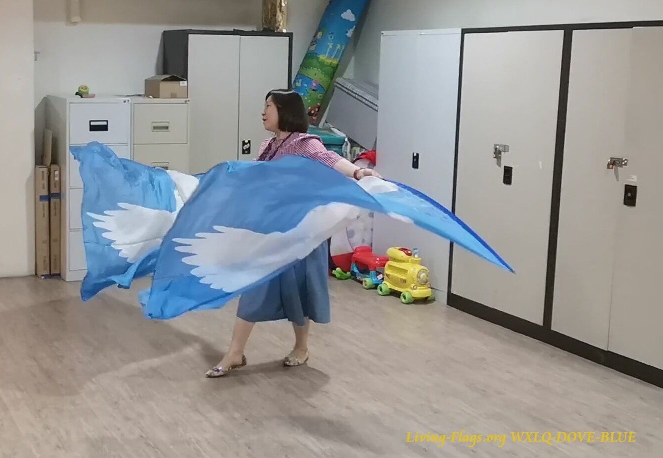 Kaufen Sie 1 Erhalten Sie 1 GRATIS - Taube (Heiliger Geist) Himmlisches Blau - Bedruckte Habotai-Seidenflügelflaggen Wxl-Federkiel