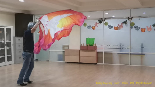 Taube (heiliger Geist) Gelb-Rot-Lila Strahlender Hintergrund - Gedruckte Habotai-Seidenfeder Flügelflaggen Wxl-Feder