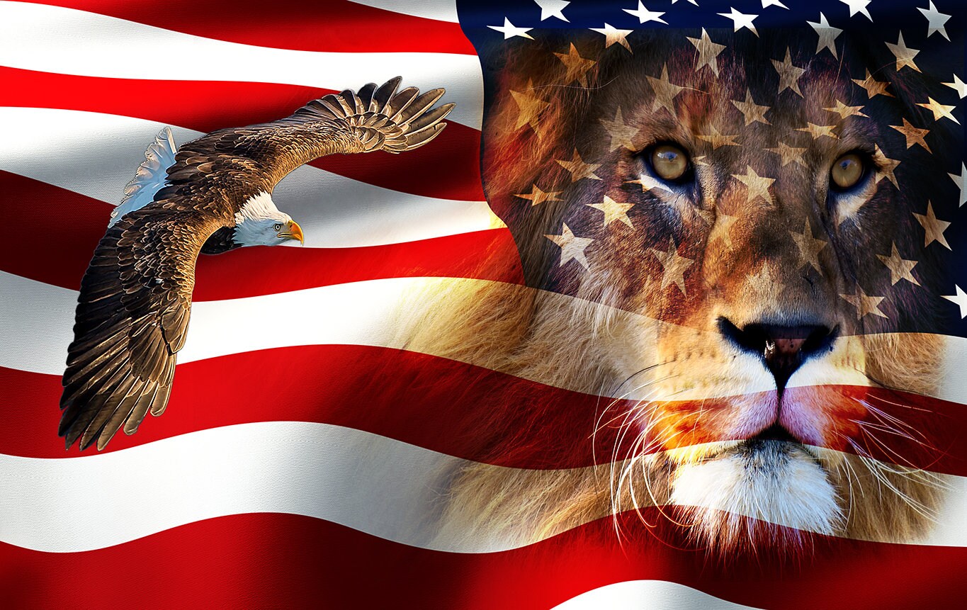 Levántate América - II (reyes y profetas) Banderas de adoración impresas en seda