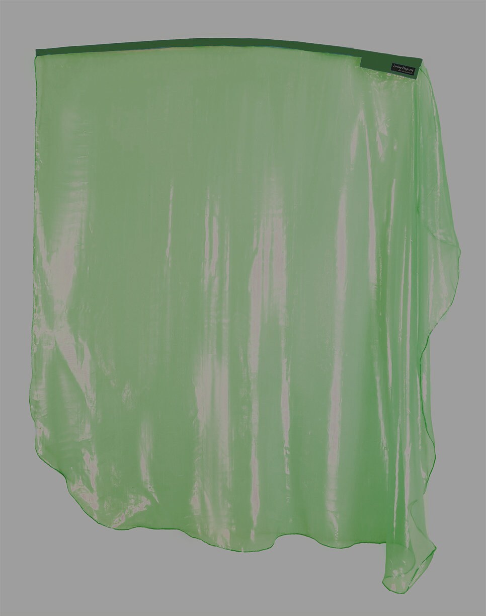 Florescent Organza Wing Worship Flags (single - 1 bandera) Wxxl-quill