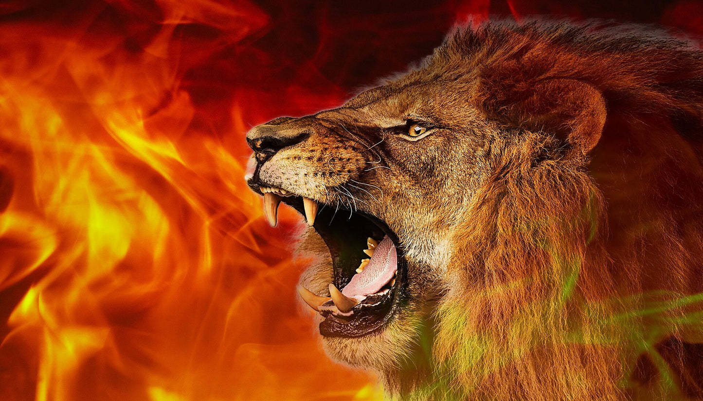 Stand & Roar - Lion ardent - Drapeau en soie Harbotai imprimé